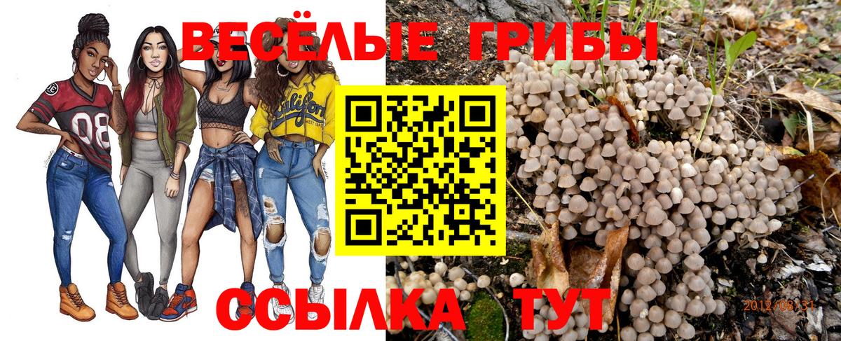 Псилоцибиновые грибы Cubensis Калач-на-Дону